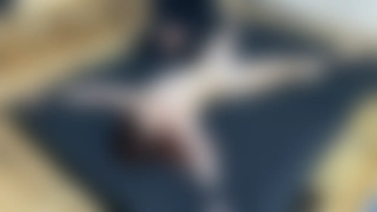 【久しぶりの撮影 大人っぽくなった美女】
久しぶりの撮影で、
以前よりも大人っぽい雰囲気が際立つ美女が登場。
今回はベッドの上でベビーパウダーを使用し、
序盤はじっくりとしたタッチで、感度を高めるようにくすぐっていきます。
徐々に反応が大きくなってきたところで、
後半は一転してハードなくすぐりへ。
耐えようとしますが、思わず大爆笑。
勢い余って身体を大きく動かしてしまいます。
落ち着いた雰囲気と、崩れていくリアクションのギャップを
ぜひご堪能ください。
再生時間
33:18 (2/2)