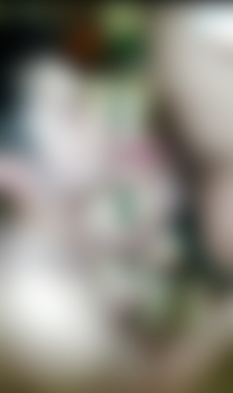 【単品購入希望】動画約7分 sample 1