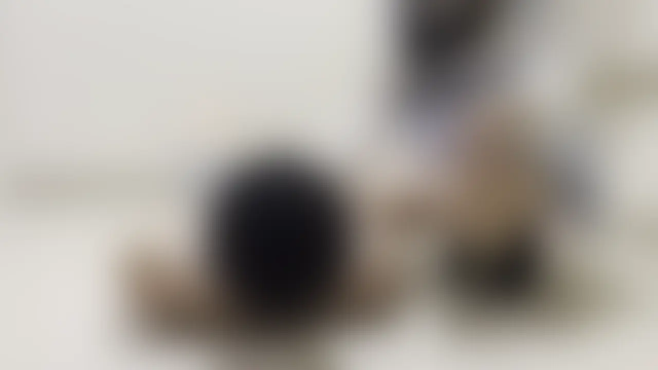パーフェクト顔面騎乗 (2/2)