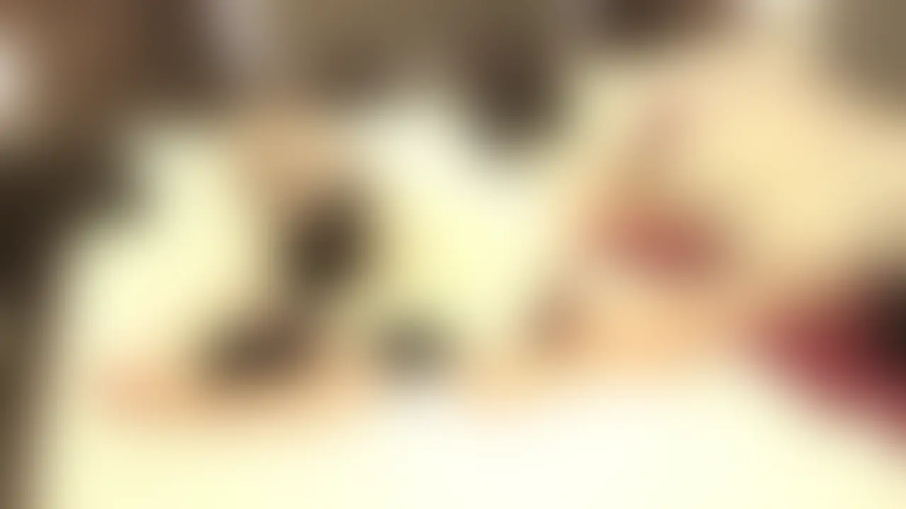 こんにちは Yunaです。
「くすぐら日記@ぐり女子」記念すべき初めての作品、処女作♡は私のプレイ動画です(ドキドキ)
個別に1人ずつの作品も公開してますが、3人セットの作品の方が価格がお得になっています!
1人目は30代の年上の社会人男性をくすぐりました。
なんかYunaのパパみたいな体型でくすぐりやすかった笑
本人さんからはこの日のプレイで私が1番良かったみたいで本当に嬉しかったです。ニコ
2人目は20代前半の同世代の社会人男子
この子の反応は特徴的で(見たら分かるよw)笑いを堪えるのに大変でしたw
やっぱりくすぐりの反応は十人十色なんだなぁって改めて思いました。
3人目は年下の男子学生さん
この子が1番反応が激弱で、最後は声も荒げちゃってます。
くすぐってるのに何でそんなに苦しい声出しちゃうんだろう・・
最後に、、
すみまんが私は顔出しはしていません。帽子とマスク、メガネをかけています。
ソフト担当なのであんまり声も出していません(´;ω;`)ウッ
この日はららちゃんとキキちゃんも一緒に撮影に参加したので、そのプレイ動画は5月にはお届けできると思います。
編集は他の方に任せてるのでできるだけ早く公開できるようにしますね。
SNSのフォローもお願いします!
2025年4月24日Yunaより (2/2)
