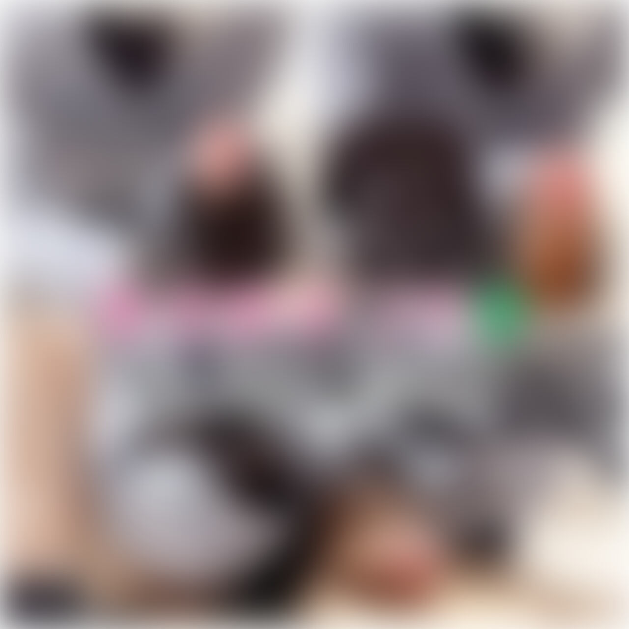 革手袋手コキ🧤リクエストで今回は革の手袋で手コキしてみました🥰ローションもたっぷりつけて触ってみたよ✨これで一通りの手袋は制覇した気がします💓(他にもあったら教えてください🫠)黒系は精子よく見えるので良い感じですね♪ 

【みみからのお願い💕】 
♡印をポチッとしてくれると 
投稿の励みになります🐬  

【有料プラン未入会の方へ🔰】 
この動画は1980円で単品購入できます🎥  

【プラン入会はこちらから✨】 
https://myfans.jp/MimimiCreative/plans

No.304★07:20 (2/2)