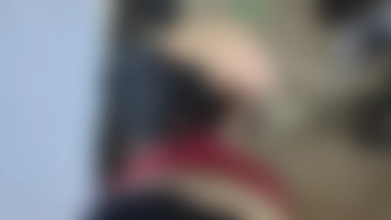 新作動画です🦊 sample 1