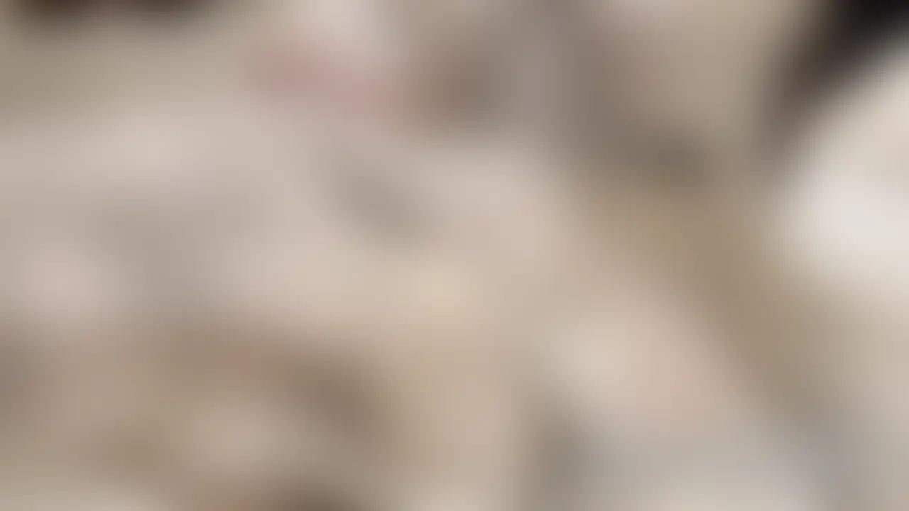 りっくんと初めてのラブホテル🔞🏨😵💫
この動画のいいね👍とフォローよろしくお願いします💐✨
りっくんと初めてラブホテルに行ってきました🫣💕
部屋に入って思ったのがめっちゃエロい笑
あとあと!雰囲気が良すぎてめっちゃムラって来ちゃいました...///笑
ほんとはYouTubeの撮影だけして帰る予定だったけど、りっくんがその気になっちゃって、私も我慢できずにそのままシちゃいました...///🫣
りっくん興奮しすぎて勢いよくフェラさせるから、イラマチオ(?)みたいなのしちゃったから、好きな人には刺さるかも笑
あと、鏡越しの立ちバックが最高すぎた😵💫💕エロすぎてこの動画編集しながら一人でシっちゃったことはりっくんには内緒だよ笑🤫💕
ここまで読んでくれてありがとうございます😘🫶✨
最後まで読んでくれたみんなに暴露!
youtubeとファンクラブであげた質問コーナー...
実は...ノーパン...ノーブラです...///🫣💕
それを知ってくれてると動画のドキドキ感が全然違うよねw
youtubeでも待ってます😘✨ (2/2)