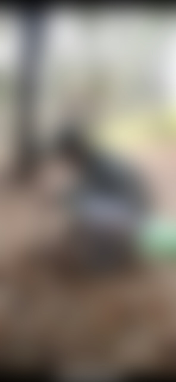 香港🇭🇰に行ってきます。 sample 1