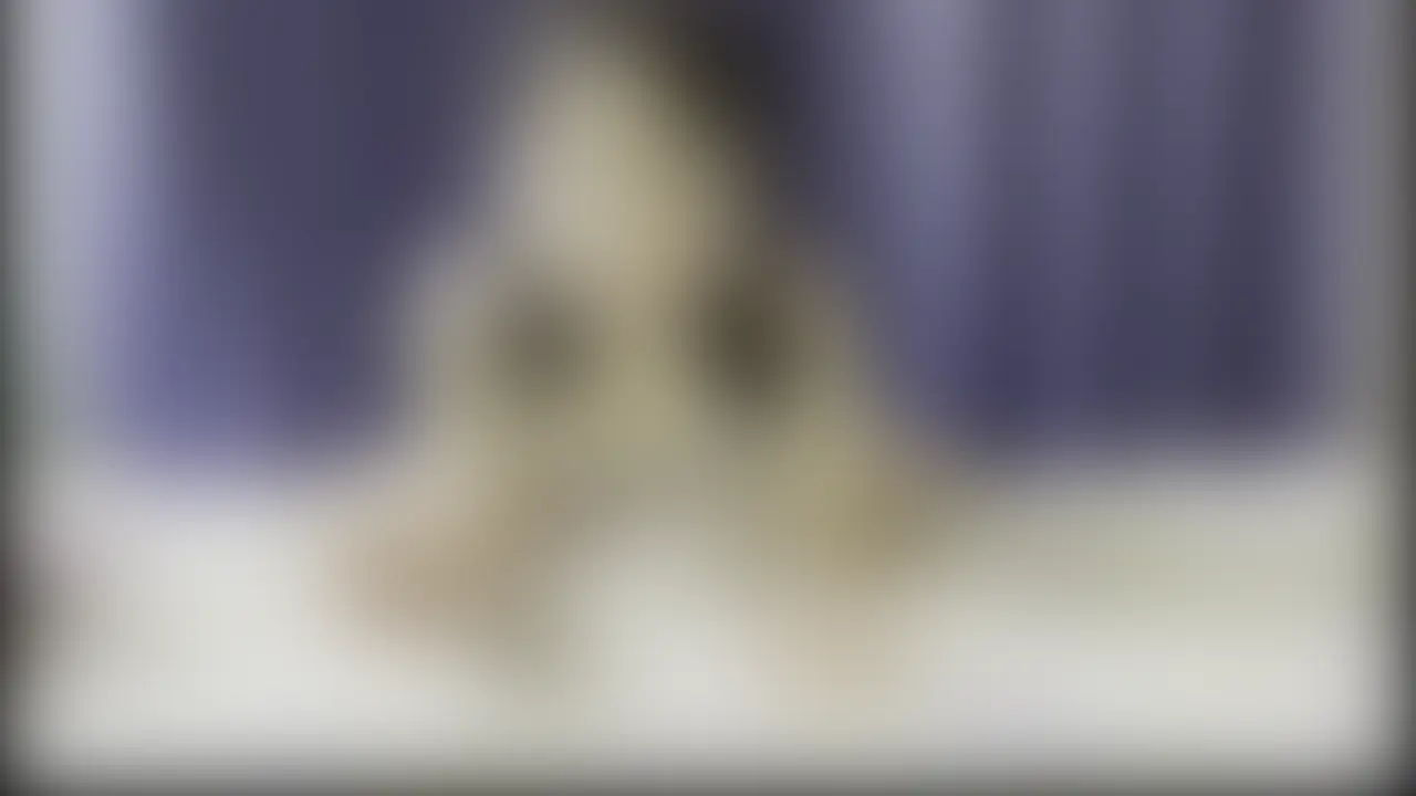 濃厚セックス (2/2)