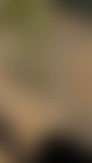 💍森の中で外出し sample 1