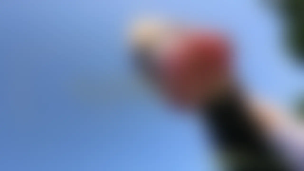激エロ野〇セックス (2/2)