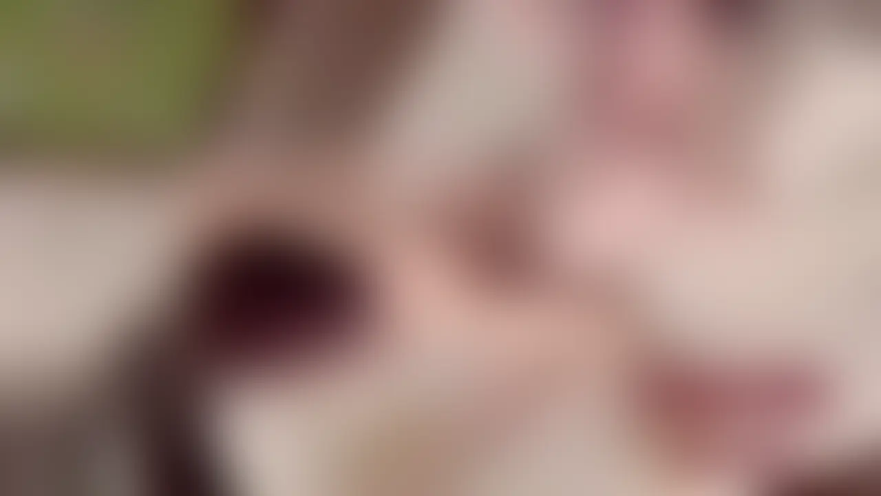 小柄スリム可愛い系大学生とおねだりSEX② sample 1