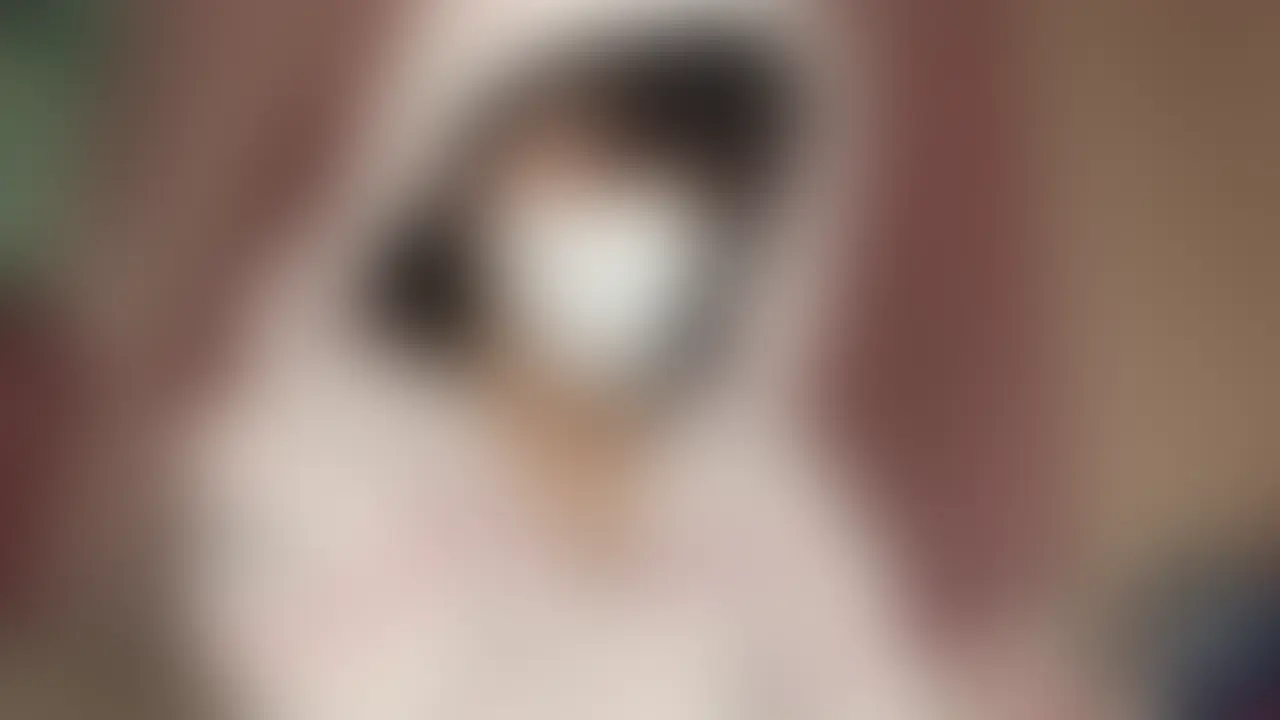 【みれい 20 歳】
みれいさんのライブ配信動画です
生ライブ配信だと、1 回の有料配信を視聴すると、おおよそ平均 5,000 円の課金が必要です!
また、見逃してしまうとその配信は2度とみることができません!
【スタンダードプラン】以上では、同じ金額で過去の配信が【見放題】となっています
生配信では みれい さんへコメントでリクエストもできちゃいます!
ぜひ生配信でも応援してください!
【この動画について】
・配信日 2025年11月1日
・無料枠配信
・ご視聴は【ライトプラン】【スタンダードプラン】【プレミアムプラン】のご加入をお願いします
*各プランの説明はプラン概要をご覧ください
※動画、写真の無断転載は著作権侵害となり、10 年以下の懲役もしくは 1,000 万円以下の罰金、またはその両方が科されます
発見次第、掲載サイトへ連絡の上、発信者情報開示請求等の法的措置を取らせていただいております。 (2/2)
