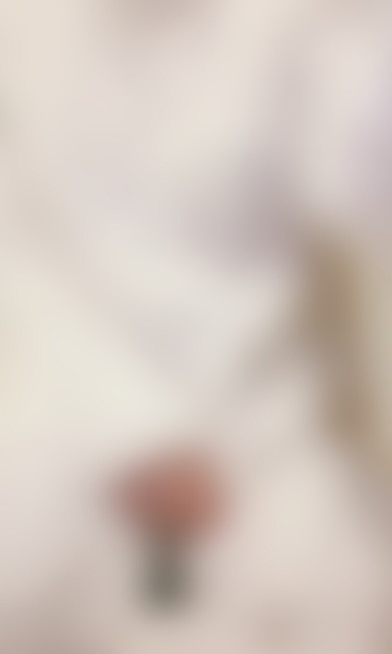 ぱいぱんにしました (2/2)