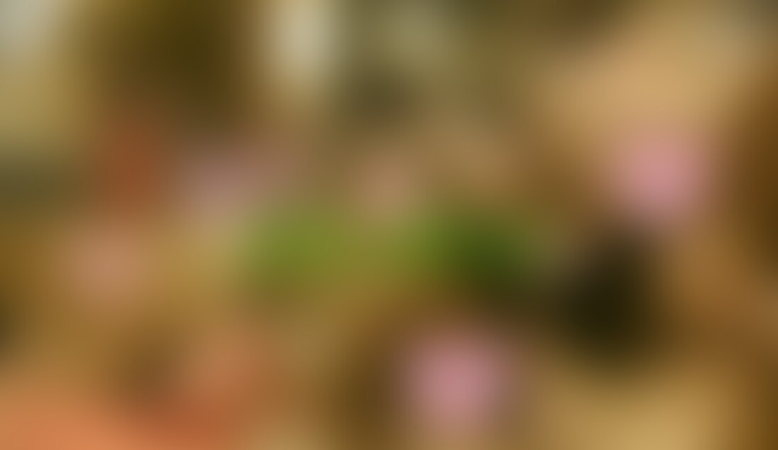 登場する女の子は21歳の女性
かなり遊んでいるようで僕とも何度か交尾してます
しかし婚約者ができたらしく最後にしてくれって事で別れる条件でハメ撮り
まずがラブホで日焼けマシーンで遊んでる彼女をいきなり撮影
その後ラブホのお風呂に移動するのですが警戒しまくりの女の子
婚約者にみられたらヤバいとの事なのですが、それなら遊ばなきゃいいじゃんって感じwww
でも撮影も彼女の承諾を得てますし何ら問題は無いので続行
まずが勃起しまくった僕のチンポにフェラチオご奉仕
かなりの男達と遊びまくってるこの女なかなかのテクニックの持ち主
先端攻撃から横舐めなどツボを知り尽くしてます
そしてベットに移動し豊満な身体をイタずら
夏海で日焼けし水着跡が残る身体を揉み揉みしオマンコを舐めると良い声を出す女の子
ちなみにこの女の子とは一切の恋愛感情は無し!
お互い気持ちよくなれば良いだけの関係ですが、この撮影で終了予定
ですので今回はコンドームなしでの完全生交尾
マイルーラも入れずお互いの生性器を味わおうとの事なのです!
そんな状況で婚約者が居る女の子の身体をじっくり撮影しながら味わい、お待ちかねの生交尾開始
もう他人の物となった生オマンコに生チンポをゆっくりと挿入
この女の子も中々の名器でオマンコの奥に行く程ヒダヒダがチンポに絡みつき気持ちよい
その極上オマンコを生で味わっているとヤバい事態に!
この時もオナ禁でかなりの精液を溜めていたので暴発しそうに
そして実は生交尾は許可されていたのですが中出しは禁止されていたのですwww
しかし正常位でチンポを出し入れしている最中に実は1回暴発!
膣奥の凄く気持ちよいところで半分以上射精してしまい大変な事に
申し訳ないので残りの精液を外にボタボタと垂らして外出しをアピール
モザイク越しにもこの様子が判るかとwww
でも長期オナ禁で勃起しまくってるチンポを即挿入
本当に外出ししたとしても射精した直後のチンポをそのまま入れたら中出しと変わらない妊娠率www
まして女の子の膣内にはボクの精液が溜まってるのに生チンポで子宮内に押し込む行為
女の子の愛液と僕の精液でヌルヌルになっているオマンコ内は凄く気持ちよく1回射精したにも関わらず
膣内のチンポはギンギン
興奮しまくりながらバックで生膣を味わうと凄い凄い
子宮口のコリっとした部分がチンポの先端を刺激し凄まじい快感がチンポに!
膣内のヒダヒダもウネウネと絡みつき子宮口はチンポの先端を絶えず刺激し一気にガマンの限界に!
もう約束なんて関係ないって気分になりチンポを膣奥の一番深い部分まで挿入し思いっきり射精開始
2回目の射精にも関わらず凄まじい量の精液が子宮内にドクドクと注入され流石の彼女も「ええ!?」っと
しかしこの時はもう性行為に夢中になってしまいその瞬間はうまく撮影できていませんでしたゴメんなさい
女の子は「ええー?」っとの状況にもなりながら最後の1滴まで精液を受け入れていたので1発目の射精も
オマンコの中で全ての精液を思いっきり出せばよかったと後悔www
射精を終え柔らかくなった生チンポをゆっくり引き抜き中出し精液でズルズルになったオマンコを指で開き
バッチリ撮影したら今回のハメ撮りも終了
婚約者が種付けする前に思いっきり種付けさせて頂きましたし妊娠しても婚約者の○○○って事で処理できる
ので凄く気持ちよい中出しができお互い良い思い出となった交尾記録動画です
ちなみにこの女の子はその後婚約者と結婚し直ぐ○○○はできたみたいですので良かった良かったwww (2/2)