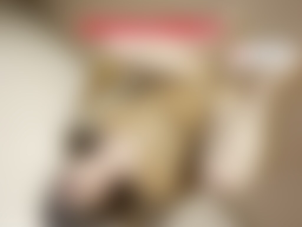 🎀ドM女性の逆さ電マ&バイブ○○○
ドM女性がホテルの椅子に逆さまに縛り付けられて電マとバイブで○○○されてます。(14:28) (2/2)