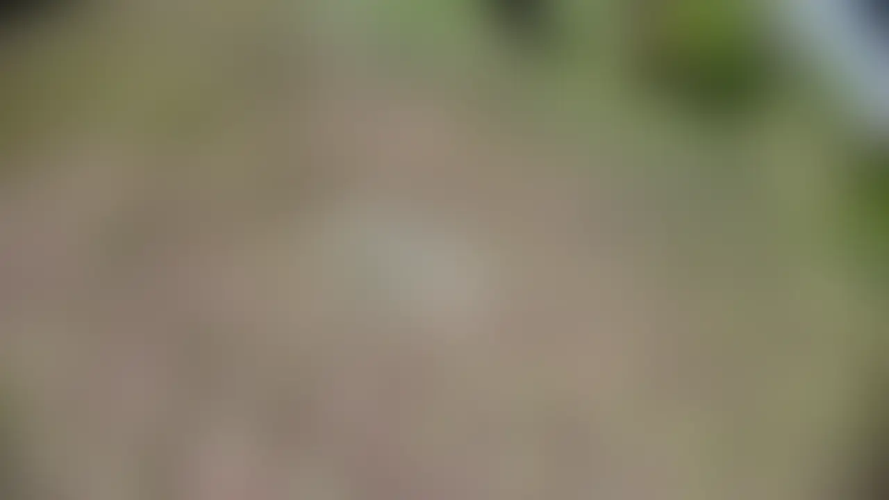 みんな!お待たせしましたm(__)m
体調やメンタルがヨワヨワでずっとえちえち動画の更新が出来なくてごめんなさい🥲
。
。
。
これからは前くらい動画更新をしていくから
期待して欲しいです😤😤
。
。
今回は夏空の下ですいさんぽしてきたよ🦊
。
。
お猿🐒みたいな遊具とジャングルジムで人は少ないけど誰が見てるかわからない中イっちゃったよう🥹🥹
。
。
他にもね…
。
。
スワンボートでプカプカしている時に…🦢
。
。
翠が必死にペダルを漕いでいるのにおぢさんがスイッチを強くしたり、翠のおへその下を強く押してきたりで何度もビクビクしちゃって本当に恥ずかしかったです///
。
。
おもちゃ抜いてって言われたけど、、、
ボートの中だよ⁈⁈て考えたら今でもちょっと恥ずかしくなってきた🥹
。
。
近々このあとの動画も上げていくから待っててくれると嬉しいです!
。
。
まったね~ (2/2)