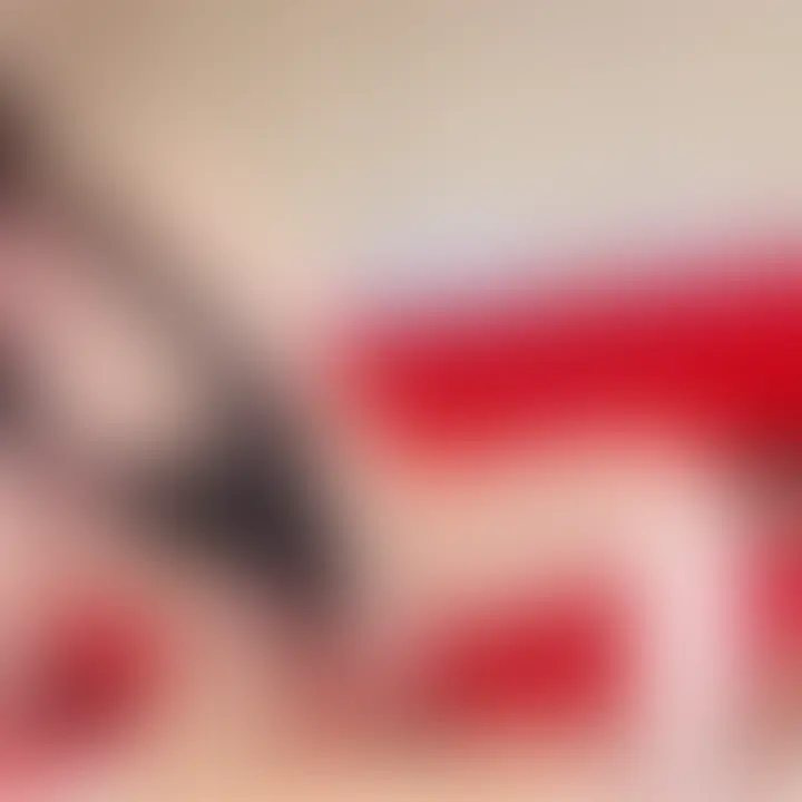 「ご主人さま〜〜」と悶えるイケメンM男くんを拘束して弄んじゃいました🤭こちらは騎乗位&授乳手コキバージョンです💖挿入してからの濃厚キス、乳首舐め、グラインド騎乗位、スパイダー騎乗位、背面騎乗位と犯しまくり🥰最後は授乳手コキでイカしちゃいました😍
挿入までの焦らしプレイは別の動画でアップしてます💕 (2/2)