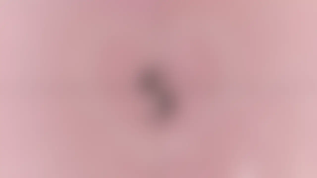 今日はきき初のロング動画投稿💗
都内のホテルに貸し出しされてバチバチに◯されてきました🥹
喉奥にガンガン当たるくらいイラマされてとっても苦しかったです...(嬉泣)
その後は大きすぎるおち◯ぽメリメリ入って絶叫⚡️
おかしくなるくらいガンガン突かれて完全にオナホ状態。 最後は使い終わったゴム投げられてやり捨てポイでした。 命令されて貸し出しされたのに
どんどん気持ちよくなっておち◯ぽ懇願しちゃうドスケベ肉便器ぜひ見てくださいね👅🔞
みんなの感想待ってます...🫣💕 (2/2)