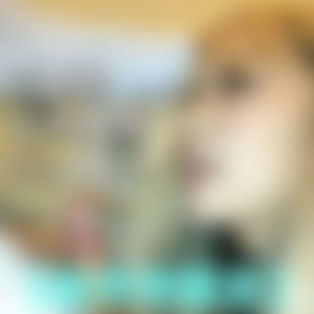 【販売用限定動画】
https://myfans.jp/posts/2bb81c46-71cd-4470-921f-ca8cb7ba98fe
この動画の、2回目射精シーン全体ぼかしなしバージョンです。
くちまんこしごき射精誘導が生々しすぎるので、この販売用のみで全体ぼかしをはずして公開します(局部へのモザイク及び鼻を中心とした薄ぼかしは施しています)。お楽しみください♡ (2/2)