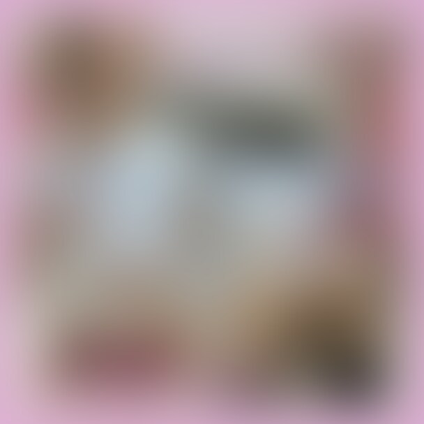 右上の『♡いいね』を押してから見ていただけると嬉しいです❤️

┈┈┈┈┈┈┈┈┈

🍫バレンタイン限定動画🍫公開しちゃいます♥️

この動画を見てくれた方に抽選で

ちかからの
『バレンタインギフト🍫🎁』を匿名配送します🎁💕

この動画をきっかけにプラン加入してくれた人は

当選確率が上がりますので

全コンテンツ見放題のダイヤモンドプラン、プレミアムプラン

検討してみてね♥️

〜〜〜〜〜〜〜〜〜〜

バレンタインのお菓子作り動画をYouTubeに投稿したのですが・・・

お菓子が焼き上がるまで15分くらいあったので

シャワー浴びてバレンタインカラーの

真っ赤な下着にお着替え・・・🙈💕

YouTube撮影中にこっそりとオ◯ニーしちゃいました🥧

小型のローターを丸見えになった部分に当ててスイッチ入れたら

振動が気持ち良すぎて立ったままイッちゃいましたが

後ろ向いてお尻突き出した状態でも絶頂しちゃった・・・///


このあとのYouTube撮影・・・

息があがってカラダに力入らなくって大変だったなあ🙈💦💦

バレンタインの日2/14にちなんで

🍫2140円🍫のスペシャル価格🎁

期間限定の動画だから見逃さないでね〜〜〜💕


裸エプロンでエ◯チしちゃった🐳動画はコチラです💕
https://myfans.jp/posts/205c1302-7601-46d7-8c1f-87f090bf34cf (2/2)