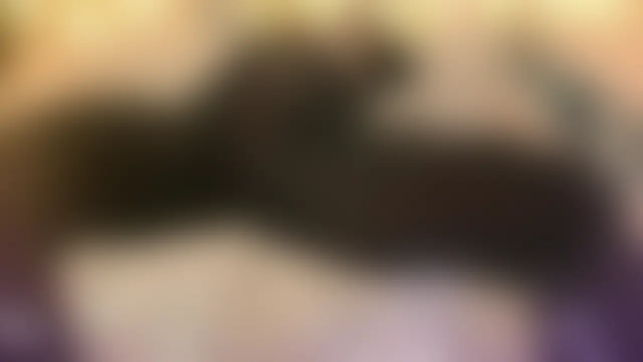 「♡新入(メス)社員研修♡お下劣淫語BOSS♡「」
・新入社員(雌)へ向けての研修動画になります!!男性の方はお付き合いされている彼女様、ご結婚されている奥様にもご利用頂けます!!( *´艸`)!!
「動画内容のご説明」(総動画時間15:21)
*開始01:03まではサンプルになります
「開始~」
・「オープニング」
・スケスケパンツスーツ姿でガニ股腰フリ!!パンツの下には透けてものすごいハイレグ衣装が見えます!!
・後ろを向いてデカ尻を突き出しガニ股で腰クネをします!!
・自己紹介でのBOSSの意味!!( *´艸`)そしてスーツを脱ぎ衣装を披露!!超ハイレグレオタードで研修動画をお送りします!!
・「トレーニング①」(オス社員のおち〇ぽを焦らす見せつけ)
・食い込みを見せつけるようにオイルでテカテカ、肉感満載のまんぐり姿からスタートし、ドスケベ淫語を連発します!!
・「おち〇ぽ♡あぁ~ん♡素敵♡つよつよち〇ぽ♡あぁ~硬ぁぁ~い♡フル勃起ち〇ぽ♡雑魚ち〇ぽ!!何それ!!短小ち〇ぽ!!」・・・etc
・卑猥な淫語を発しながらマングリで見せつけ!!ハイレグの面積が少なくもちろんハミ毛!!
・次に後ろ向きの指示語、自らも後ろを向いてガニ股で巨尻を突き出しながらおち〇ぽ淫語!!食い込みとデカ尻の相性がヤバい!!
・「トレーニング②」(淫語×アナル見せつけ♡)
・「次はアナル見せつけです♡当社ではアナル交尾が推奨されます!!」その理由とは・・・おま〇こ交尾、誰のザーメンか分かららない、*乳をまき散らしながら、メスブタ、ボテ腹で・・・・!!etc
・アナル交尾が推奨される理由を説明した後、いよいよ実践です!!
・「しっかりアナルを拡げてぇ~♡」と両手でお尻を思いっきり拡げ、中腰になりデカ尻を突き出しながら①「ケツ穴くぱぁ♡」②「アナルくぱぁ♡」③「変態ケツ穴くぱぁ♡」④「クソ穴くぱぁ♡」
・⑤「色んなち〇ぽを咥えたケツ穴くぱぁ♡」
・⑥「ブ〇ブ〇ぶっといの放り出す穴くぱぁ♡」
・⑦「(卑猥過ぎて記載できない)穴くぱぁ♡」
・卑猥な淫語を発しながらケツ穴くぱぁ連発!!アナルも接写!!
・「トレーニング③」(おち〇ぽを励ますお下劣チン媚び)
・チューブトップT字のハイレグレオタードを更に食い込ませ、T字からI字の食い込みがエグい超ハイレグ姿に!!乳首丸出し、ガニ股姿でスタート!!
・「おち〇ぽに元気がないオス達を励ますために~」
・ガニ股、Wピース、腰ヘコ、ち〇ぽ連呼でチン媚び!!ローアングルからのおま〇こにグイグイレオタードがめり込んでいる姿は卑猥です!!
・後ろ向きになって同様に、デカ尻を突き出しチン媚び!!
・これにて研修は終了です!!しっかりメスを磨き上げましょう!!( *´艸`)
・ご購入された男性の方は、より楽しむ為に、大好きな彼女、大切な奥様と一緒にご視聴して頂き、視聴をした後は必ず実践をさせ、ち〇ぽ!ち〇ぽ!と連呼させ腰を振らせて下さいませ!!
・メスの研修動画、是非ご覧下さい!!
■収録時間:15:21
■形 式:MP4
■ファイルサイズ:700MB
・本商品の被写体は年齢確認済み20歳以上で、撮影動画の使用許可を得て販売しております。
・本商品の転載、転売等、流用、二次利用は禁止とし、発見した場合は民事上の損害倍請求を申し立てます。
・サイト利用規約に基づいた内容です。 (2/2)