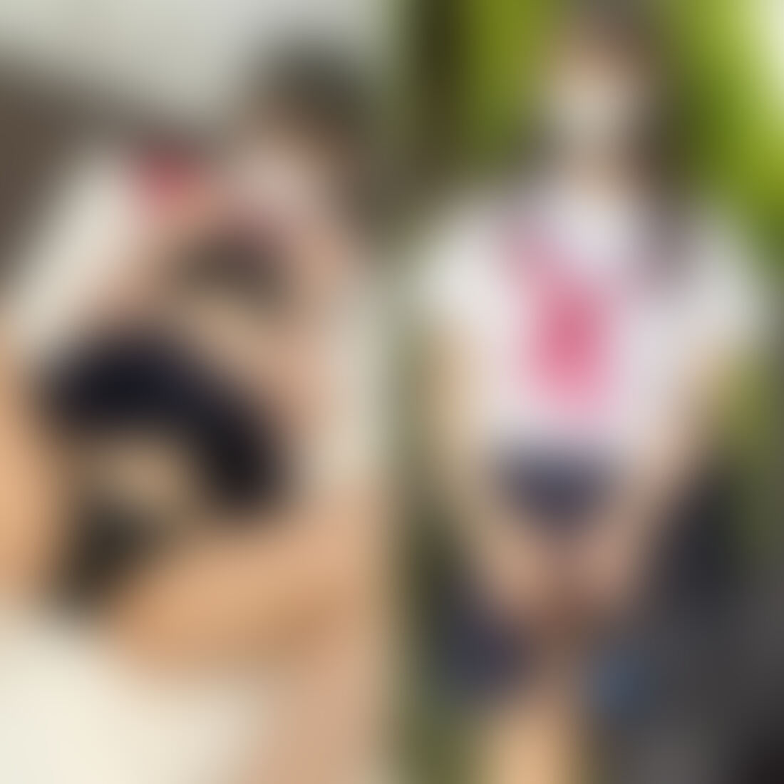使用期間2年【個人撮影】進学校に通うリボン付き黒パンツちゃん(偏差値60)隠れ巨乳の真面目系制服女子とのハメ撮り映像配信 (2/2)