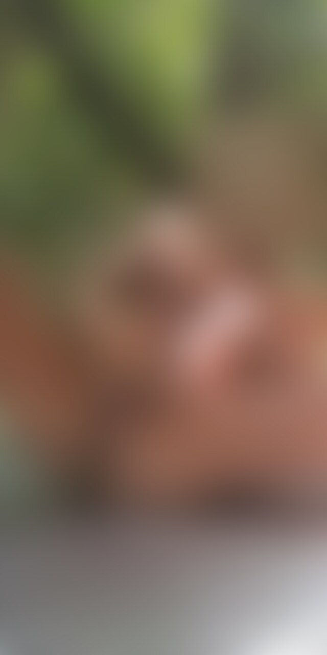 野外で全裸オナニー♥ sample 1