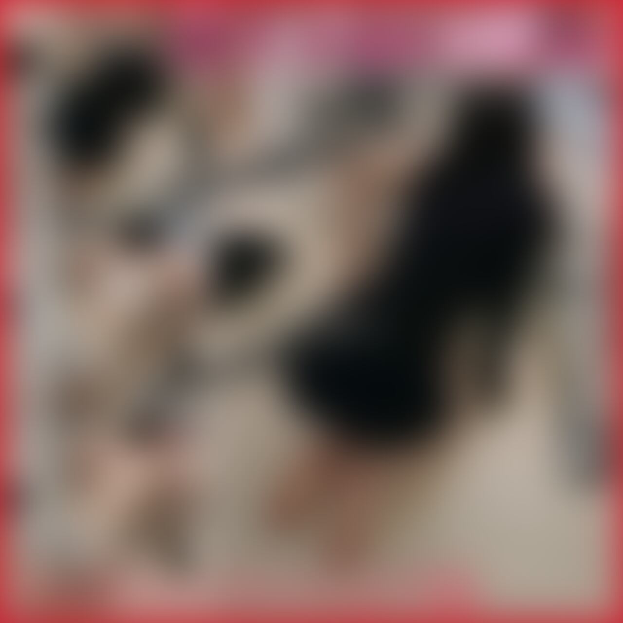 ○ふぇら

ご奉仕させていただきました
鞭はいたかったけど
舐めさせてもらえてうれしかったです
ありがとうございました (2/2)