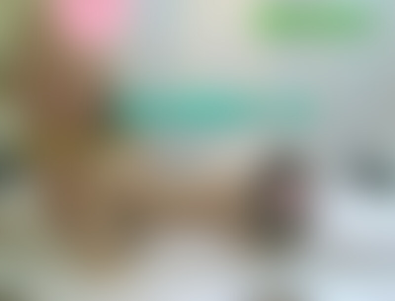 こんばんはモモンガです
今回は全裸にルーズソックスだけ履いたお○○○さんの登場
ご覧の通りスタイル抜群で本編では完全顔出し!
そのお○○○さんは既に中出し1発決められた後ですが今年も2代目ポニテ○○○を孕ませた僕のチンポは
1発中出しだけでは満足できません!
まずは既に中出しを決め柔らかくなってるチンポへのご奉仕!
美人のお○○○さんが僕のチンポを恥ずかしげもなく咥えるその姿
しかも手持ちカメラではカメラ目線でフェラしてくれるので速攻で勃起!
もうカッチカチになったチンポを1発目の中出し精液でズルズルになってるオマンコへ挿入!
自分の精液を女の子の膣の襞襞1枚1枚に擦り付けるようにバックで侵入すると超気持ち良い
しかもバックだと女の子のオマンコの一番奥の子宮口に亀頭が思いっきり当たるので気持ち良い気持ち良い!
おそらく膣奥に溜まってる精液も亀頭が子宮口を押し開いた時子宮内に入って行きヤバい事にwww
J〇リフレの子達や2代目ポニテ○○○を孕ませた僕の精子達は超元気に卵子目がけて泳いで行くはず!
その受精を更に確実にする為バックでの中出しを強行!
バックだと子宮口にピッタリ亀頭をくっつけて射精できるので妊娠の確率が更に上がるんですよ!
今回もちゃ~んと中出しカウントダウン表示!
しかもバック交尾シーンがいろんな角度で撮影し全ての角度での射精前に中出しカウントダウン表示!!
この中出しカウントダウン表示はオナニー射精する時に凄く便利!
カウント表示0で射精すれば女の子に中出ししてる気分になれちゃいます
しかも中出し射精シーンが5アングルあるのでお好きな中出しシーンが選べちゃいます!
そして今回の見どころは中出しチンポを引き抜いた後の精液逆流時の膣ナラ!!
僕の精液射精量は2発目でも凄まじくバックだと必ず逆流時ブピュっ!っと音が聞こえます
その時の様子も各アングルで見られちゃいますよ~ (2/2)