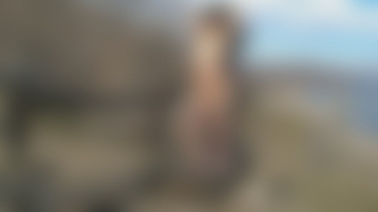 途中でダンプにちゃちゃをいれられました(笑) (2/2)