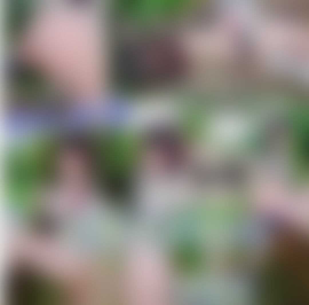 (たっぷり6分♥️)ふんどし○学生 帰宅道中の田んぼ道で、乳首チラやふんどしの隙間からマンちらなど…
(りかはおとなです✨成人してます☘️宿泊先古民家の裏庭を貸し切り状態で撮りました
他に人はいません)
こんばんは🌃りかです
今日も1日お疲れさまでした(⑅꜆˘̤ ᵕ˘̤)꜆🍵
お帰りなさい♥️
ひまわりお外撮り速報、お気に入り⭐してくださった方ありがとうございます!すごく嬉しいです✨
ひまわり撮りは、青空とひまわりや銀髪の光のあたり方もとても綺麗で、少しチラとかも撮れたので、
また少しずつアップしていけたらと思います
今日は、新シリーズみっつめの動画です
ふんどし女学生の田んぼ道チラリ露出です
楽しんでもらえたら嬉しいです✨
今週もありがとう♥️
お疲れ様でした🍹
ゆっくりお体休めてくださいね🍀(´,,・ω・)᎑<,,)チュッ♥
(りかはおとなです✨大丈夫です☘️) (2/2)