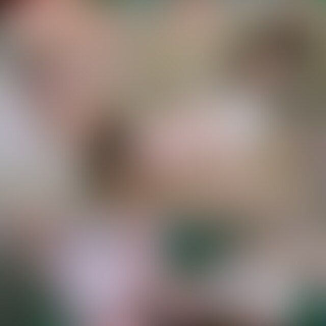 昼職女子限定外性器鑑賞会【渋谷オメコ帝国ナイト】16★保護者も知らない女教師の裏の顔!「教育より金が好き」
どんな硬い職業の女性でも裏の顔はあるもの・・・本作品は素人女たちの本性を知ってしまい幻滅間違いなしのルポタージュ映像です。
メインは、あの公立女教師様で客にマンズリに使用したパンティを観客に叩き売りしている様子がうつっています。前日の授業から履いていたという神聖なるパンティでその夜もマンズリしてシミをつけてさらに眼の前でハードにオナってからの手渡しです。
なりふり構わず手売りする姿にもかかわらず、超絶美女なせいもあって飛ぶように売れていきます。いただいた現金をブラやパンティの隙間に差し込んで、ハイテンションの教師!
どうやら教育よりもお金のほうが好きなようで本性が知れてしまいます。
現金にまみれて喜々とする姿を保護者が見てしまえば卒倒間違いなしでしょうね。
現金積まれたあとは、いつもにましてハードポージングサービス開始!
オナニーもいつも以上に熱がこもっていますよ!
その他、ここでは記載も憚られるほどのお硬い職業女性が満載の映像です!
素人女性の禁断バイト映像集ここにあり。
分数14分00秒
映像サイズ 1920×1080
※利用規約に基づいた作品であり、違反する内容ではありません。
※撮影が許可されているイベントを通常の方法で撮影したもので○○○の作品ではありません。
※登場する被写体は協力者です
※内容はあくまで作品つくりのためのフィクションです
※モデルは全員○○○以上で年齢は確認済みです
※違法なデータではありません。
※作者作品の動画及び画像の転載、転売、公開等、二次使用を一切禁じます。
■商品に関しての注意事項
●動画ファイルは、動画再生ソフトにてご覧頂けます。スマホ再生可能ですが、自己責任でお願いいたします。
●動画は個人でお楽しみください。転載、二次使用はお断りします。
有償・無償を問わず、購入された写真画像・動画を第三者への送信、販売、頒布、もしくは貸与等、著作権法上の私的利用の範囲を超えて利用することを禁止します (2/2)
