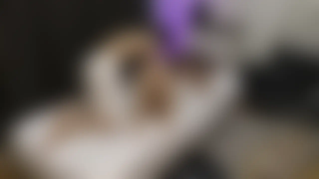 【国語教師きれかわ清楚系のしおり(26)をお持ち帰り】
第三者視点 裸
りょうです
元アイドルグループの誰かです
自分で言うのもおこがましいですが女性からはイケメンと言われ
大体はじめましてでも9割の確率でお持ち帰れます
今回は友達と呑みに行った時に隣の席で呑んでた先生の送別会?で
あの子かわいいなーとしおりを見つけました
友達とノリで乱入しちゃおうぜと言うことで飲み会にノリで参加
しおりと隠れてライン交換しラインで「抜け出そうよ」と送ると「抜け出しちゃおうか笑」とお持ち帰り
キレイでかわいくて清楚なしおりさん
めちゃくちゃドストライク!
同じ同僚の年上の彼氏がいるみたいだけどHが淡白で面白みにかけるらしい笑
そしてしおりさんは僕のことイケメンって言ってくれたりかわいいって言ってくれたり大人の女性
でも・・
ガン突きするとアンアン言いながらイキまくる
どっちがかわいいんだ(笑)
タグ
素人 個人撮影 巨乳 変態 ハメ撮り 美乳 美女 乳首
お尻 フェラ 手コキ 中出し 騎乗位 生ハメ 顔出し
パンチラ NTR ギャル 下着 ミニスカ (2/2)