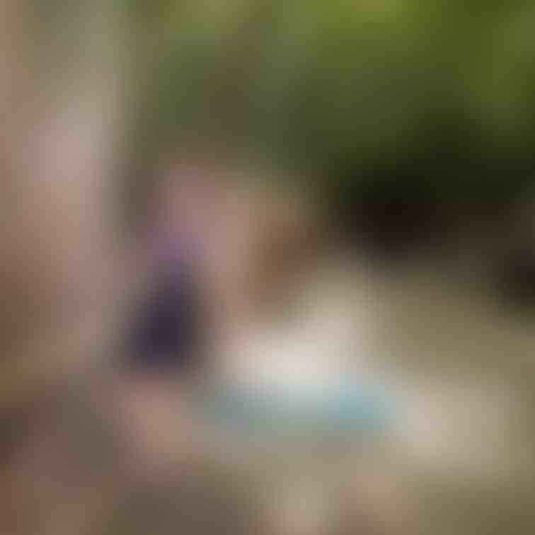 過去の削除写真の再投稿です。(2023年7月投稿)
素敵な庭園シリーズ⑪