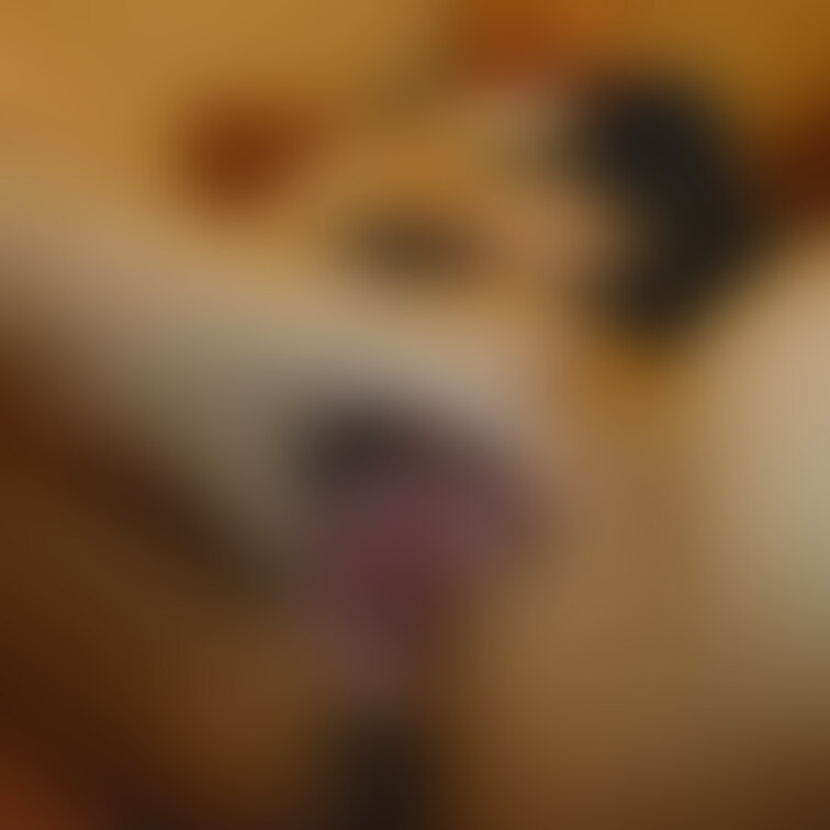 ⭐️フル動画はこちら⬇︎
https://myfans.jp/posts/1adce09d-bf8a-4edc-aa7