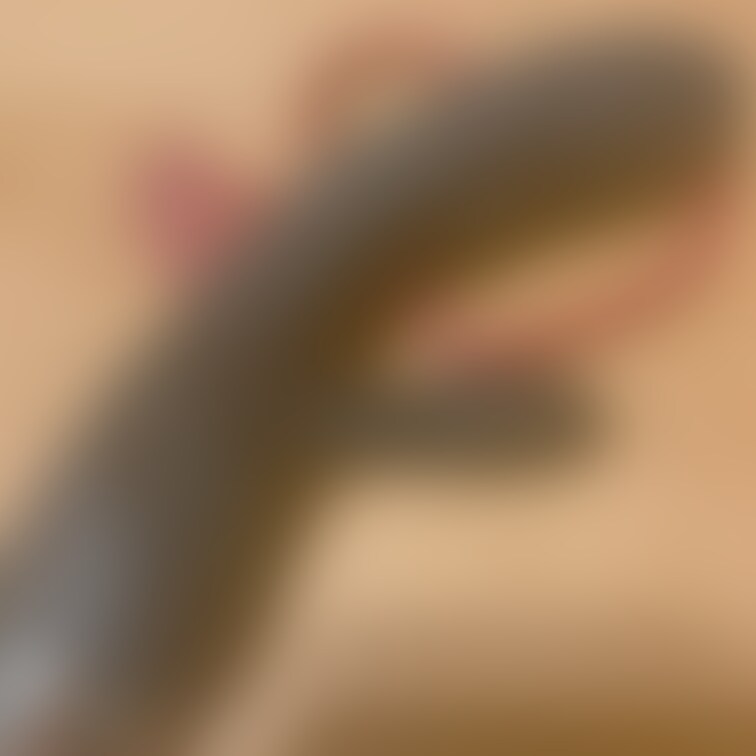 右上の「♡いいね」を押してか動画ら見ていただけると嬉しいです🥰
今週はこれをつかってこんなビチャビチャになっち