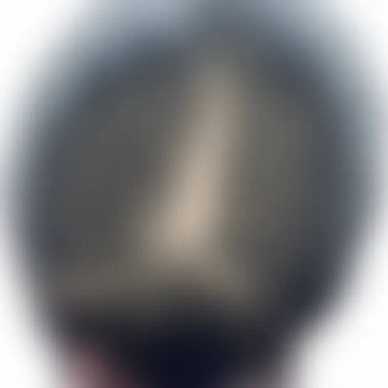 黒髪で美髪、人妻さんです。
接写許可あり、頭皮までくっきり