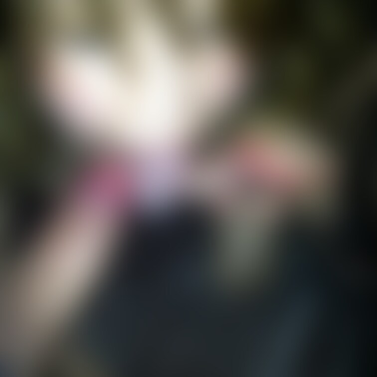 相当過去のフェラ画像。

初めての3P？