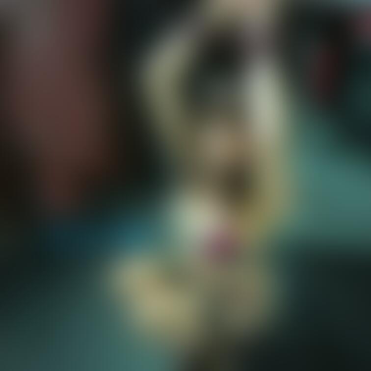 成人映画館で○○○を、手すりに繋ぎ放置してみました🤤