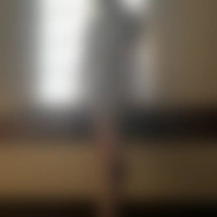 和風な感じで撮ってみました✌️