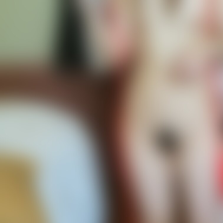 これから縛られます…