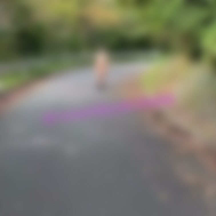 《いつものように》
いつものように歩いているだけの動画になります😊

ゆきの一言
紅葉🍁の中をお散歩する予定で撮