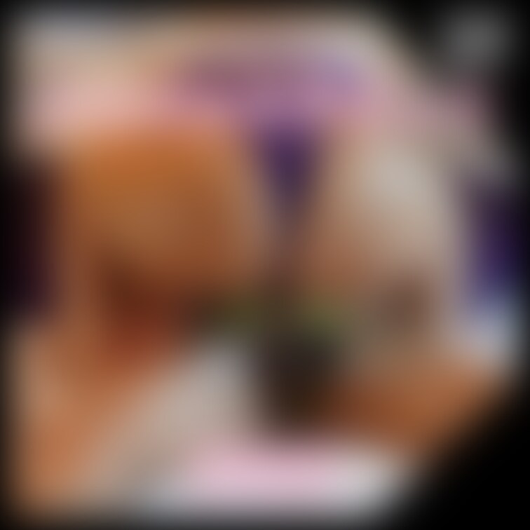 右上の「♡いいね」押してからみてくれると嬉しいです💗


••┈┈┈┈┈┈┈┈┈••

39【サンプル画像】メ