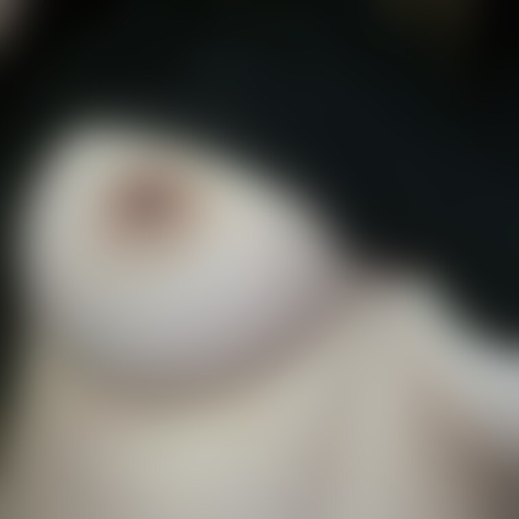 勃っちゃってる