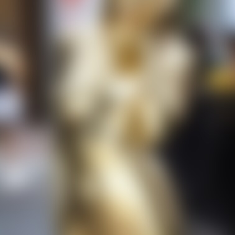 路上露出する金粉美女 / Golden bodypainted girl naked in public part4
