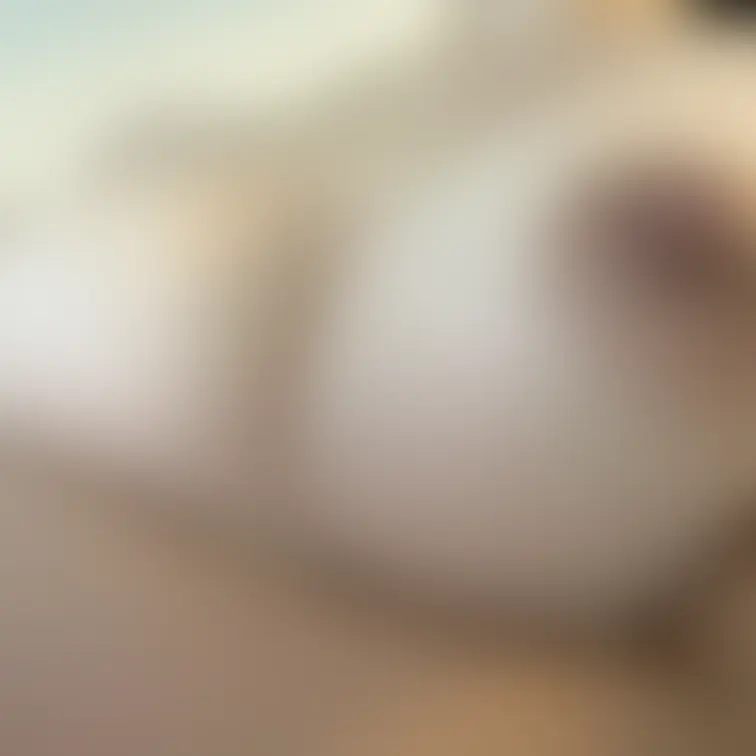 ドアップおっぱい♡🫣