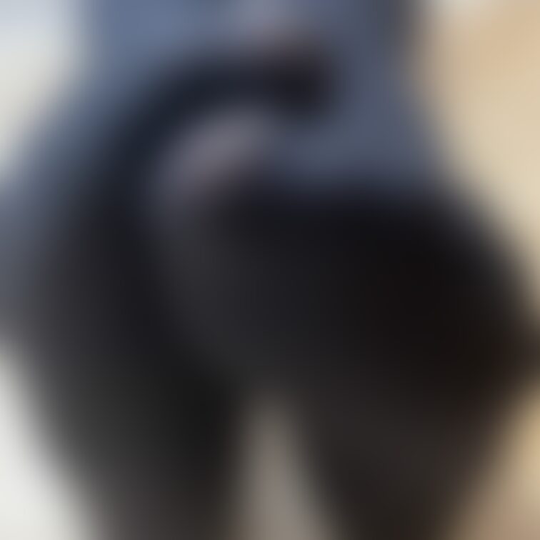 寒くなってきたから黒タイツ解禁！
今週は5日連履き！
