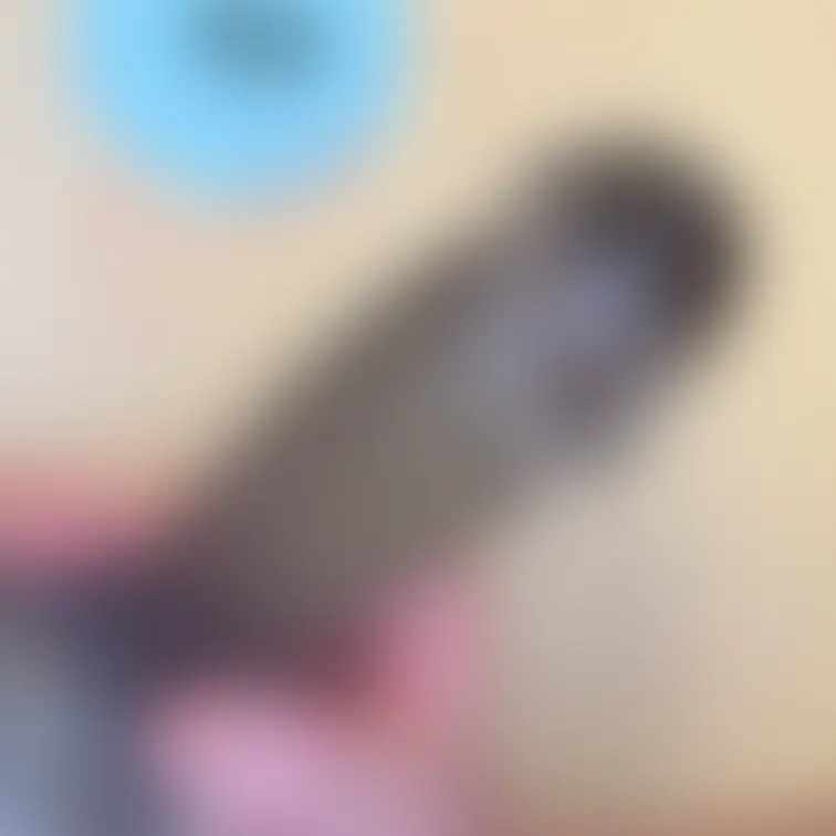 深夜の🛁🫧
「彼氏」さん惨敗ꉂ🤣w𐤔
いや、リナも🙈︎💕︎
🤫㊙️だよっっ