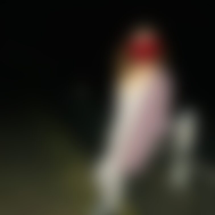 ちょっともじもじくん?的な要素ありすぎですか
この服小胸でも隠れると思っていたのですが全然隠れなくて驚きで💦どうやって