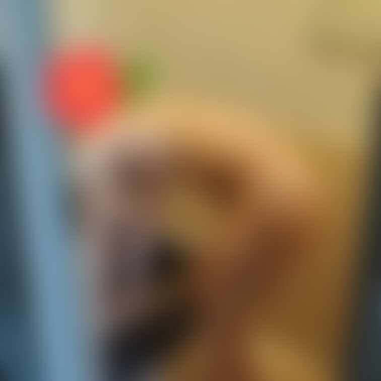 オフ会参加一般女性Yさんの入浴のぞき風ショットです。