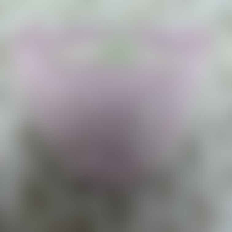 今日のリナのパンツです🥰