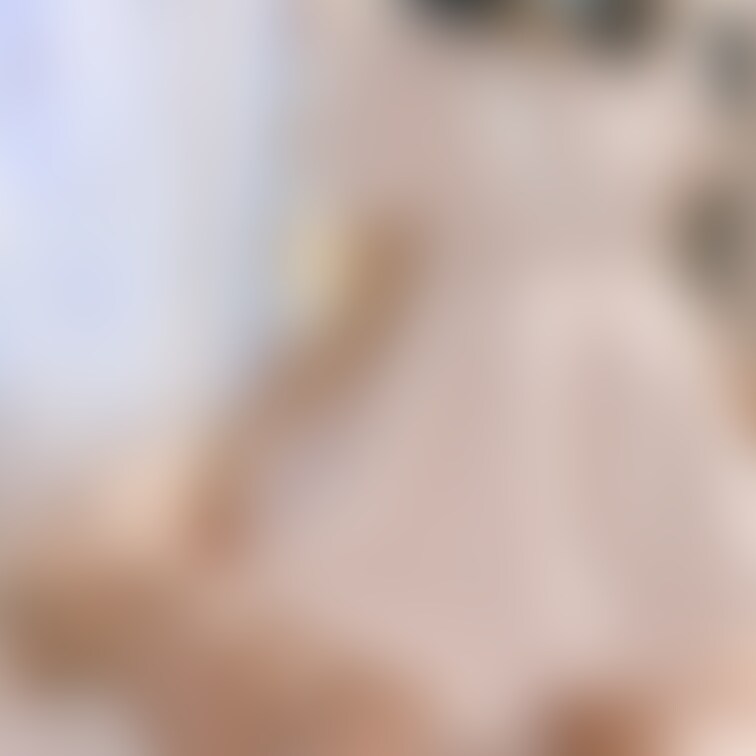 いただきもの