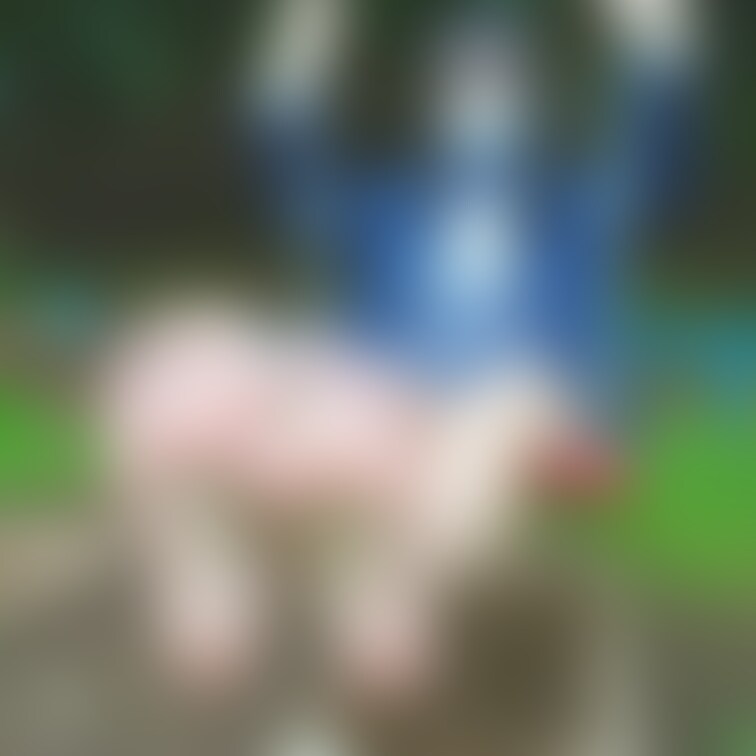 放課後に公園でお散歩写真です❣️4枚目と5枚目は、、、